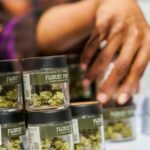 Advertencia de EEUU: tarjetas de marihuana medicinal no son válidas en RD