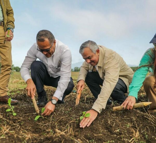 WhatsApp Image 2026-01-15 at 10.25.49 AM