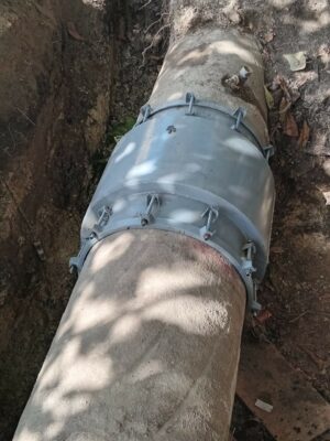 WhatsApp Image 2026-01-20 at 5.01.58 PM