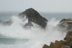 WhatsApp Image 2026-01-25 at 12.39.13 PM