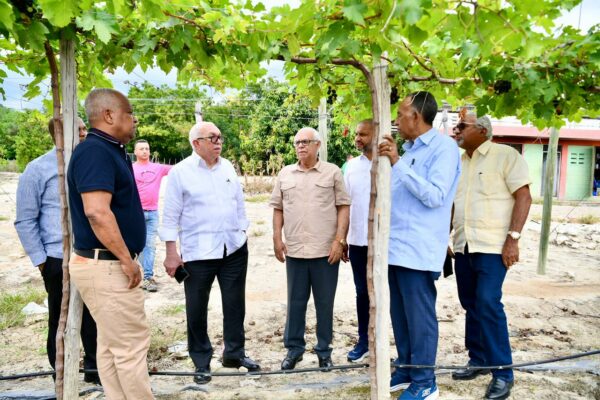 WhatsApp Image 2026-01-29 at 3.38.52 PM