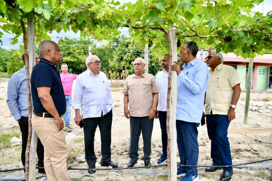 WhatsApp Image 2026-01-29 at 3.38.52 PM