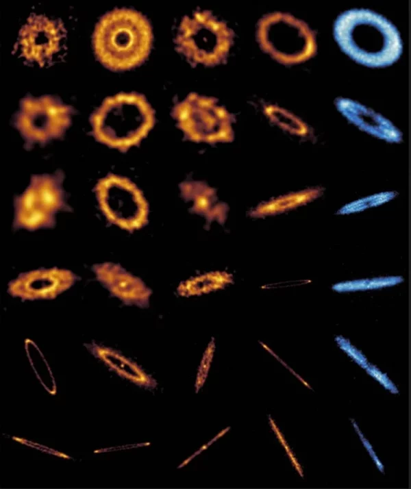 Fotografía facilitada por la Universidad de La Laguna/Sebastian Marino, Sorcha Mac Manamon y la colaboración ARKS.