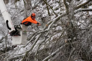 Austin Bradbury utiliza una motosierra para cortar una rama de un árbol sobre una carretera, el 30 de enero de 2026, en Nashville, Tennessee. (AP Foto/George Walker IV)