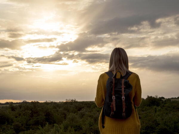 Raíces del alma ingrata