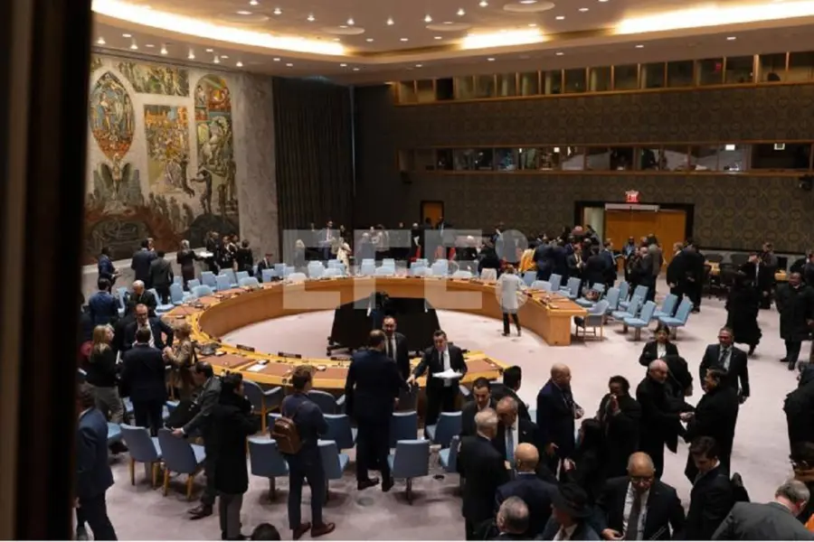 Consejo de Seguridad de la ONU