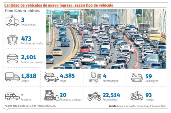 info-CANTIDAD VEHICULO