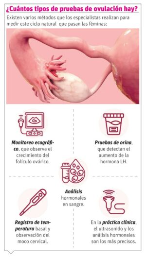 info-OVULACION