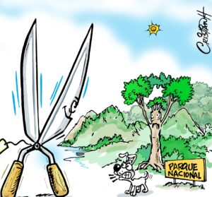 El carrusel de la vida