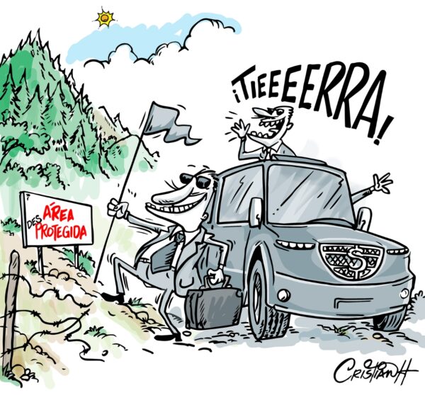 El carrusel de la vida