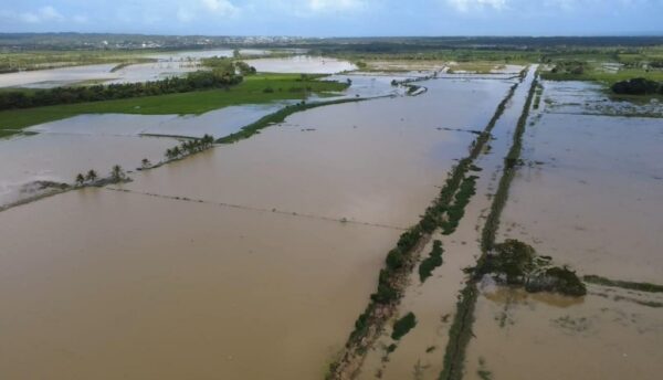 Parcelas de arroz han quedado anegadas en zonas de María Trinidad Sánchez, con pérdidas millonarias.  FUENTE EXTERNA