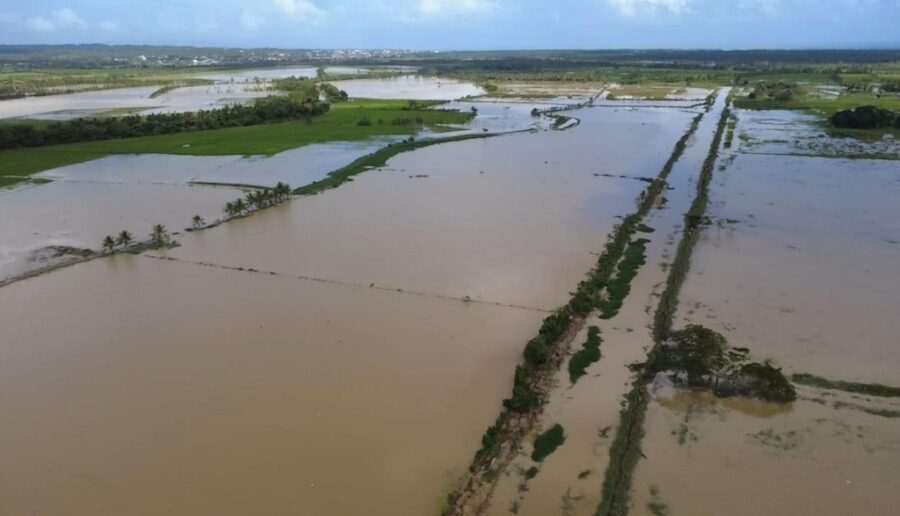Parcelas de arroz han quedado anegadas en zonas de María Trinidad Sánchez, con pérdidas millonarias.  FUENTE EXTERNA