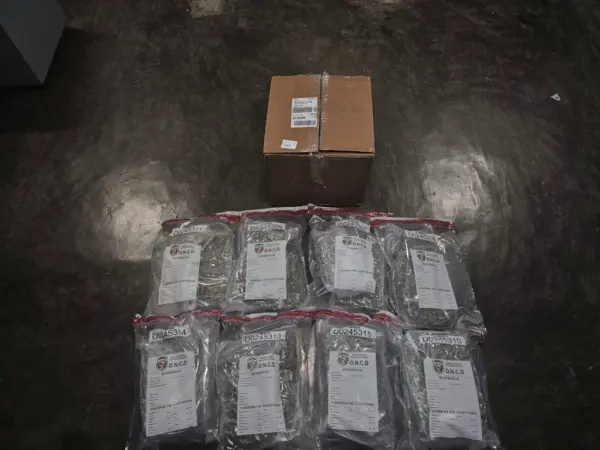 DNCD-4