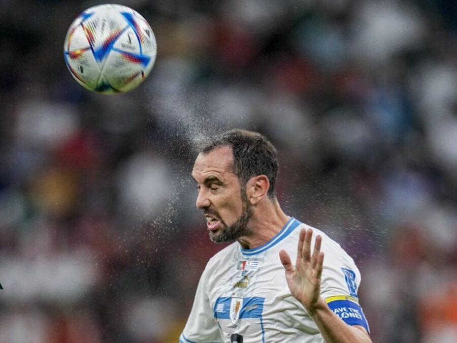 Diego Godín2