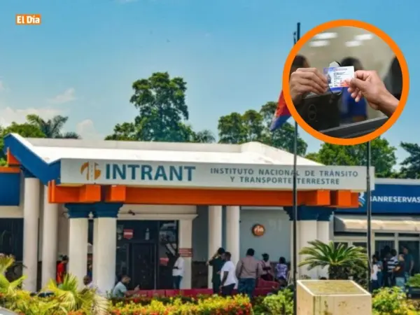 Intrant-Licencias