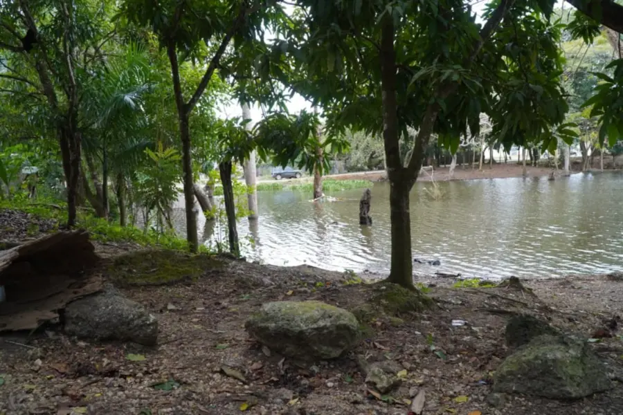 humedales