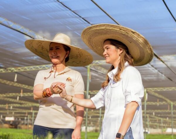 WhatsApp Image 2026-02-08 at 9.42.42 AM