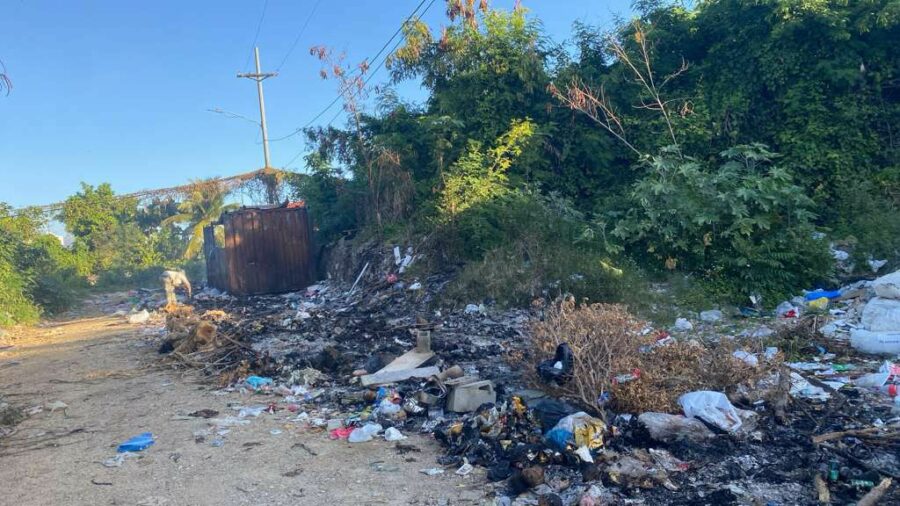 WhatsApp Image 2026-02-13 at 10.44.23 AM