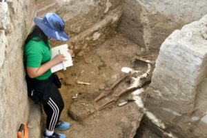 WhatsApp Image 2026-02-17 at 4.50.11 PM (1)