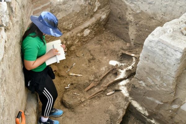 WhatsApp Image 2026-02-17 at 4.50.11 PM (1)