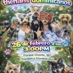 Los "Therian" en Santo Domingo, una tendencia peligrosa para nuestra niñez