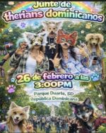 WhatsApp Image 2026-02-17 at 4.50.14 PM