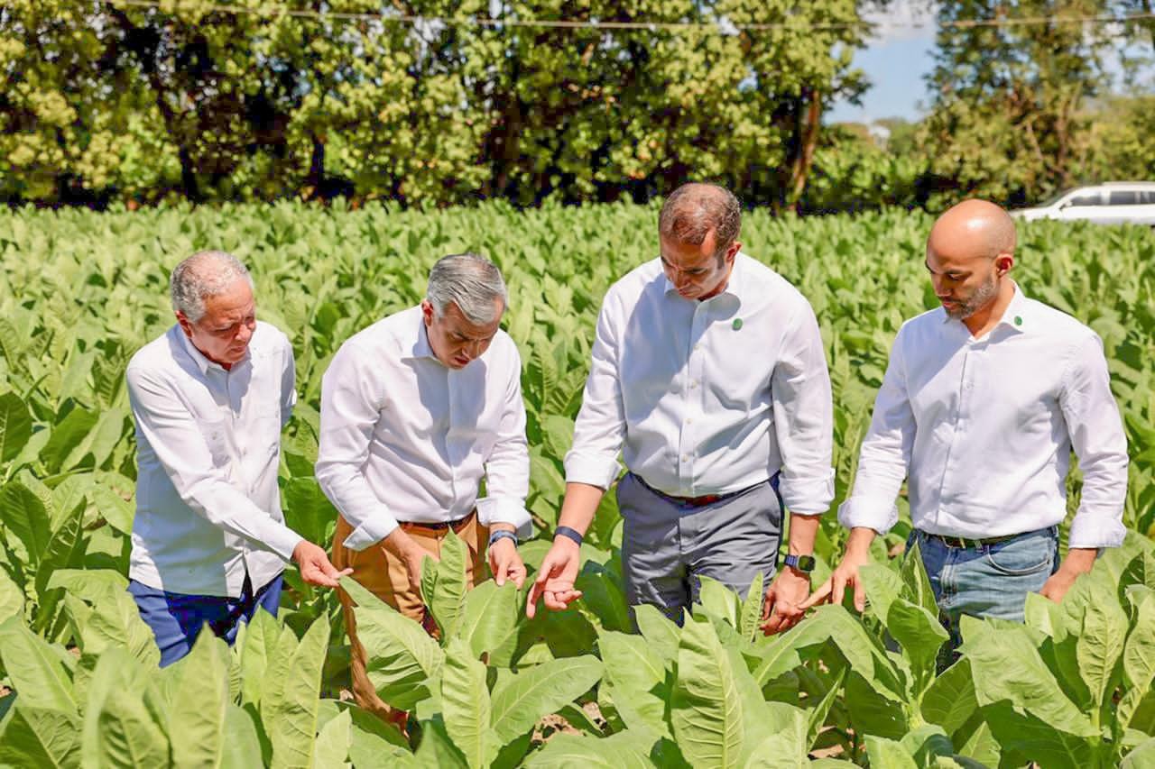 Exportaciones de tabaco y sus derivados aumentaron 1,183 millones de pesos en el 2025