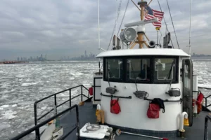 descarga – 2026-02-16T144640.023