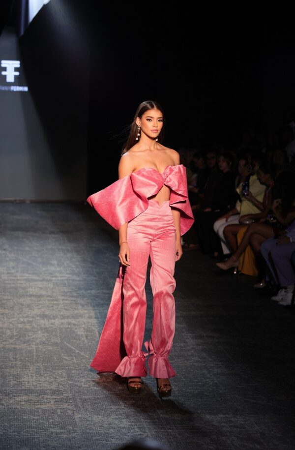 modelo de la republica dominicana