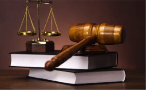 Presentación periódica fue la medida más dictada en el año 2025.