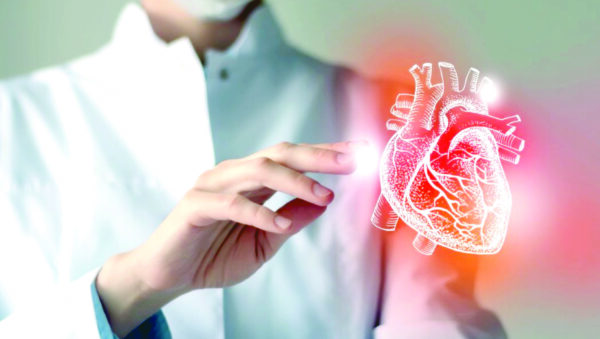 Enfermedad cardiovascular