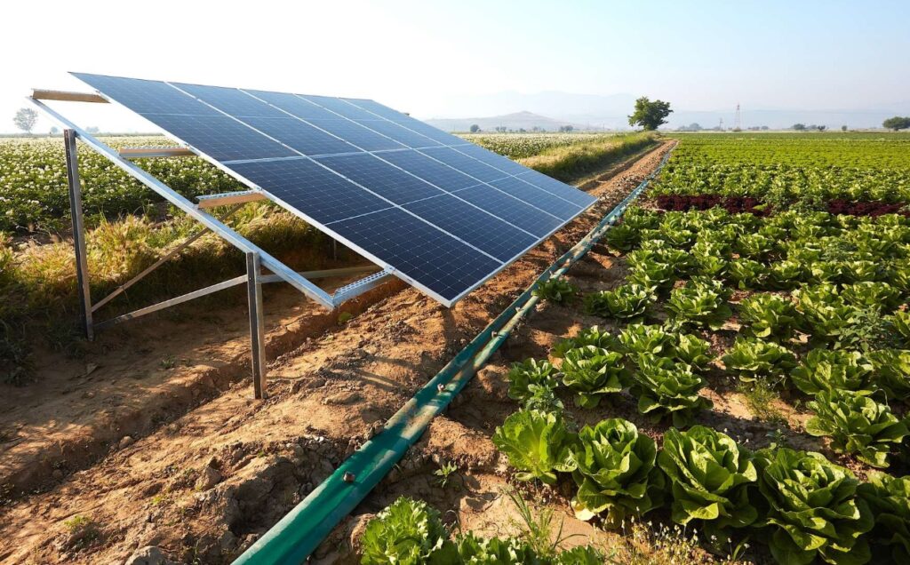 Pequeños productores abaratan costos con energía renovable