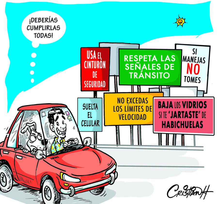 El carrusel de la vida