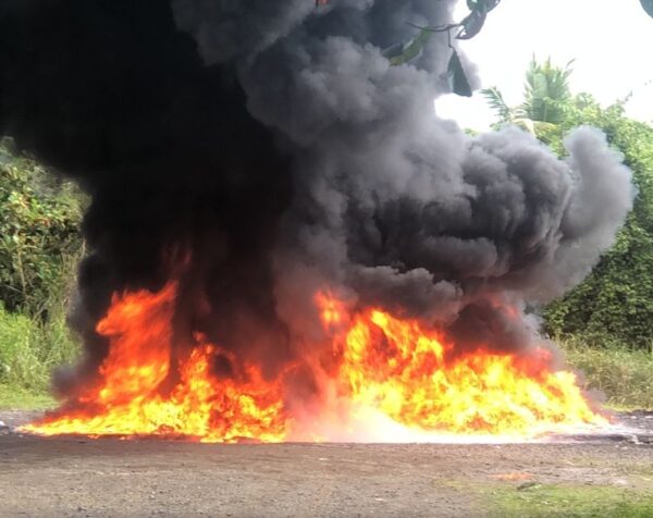 Las sustancias fueron incautadas en diferentes provincias.