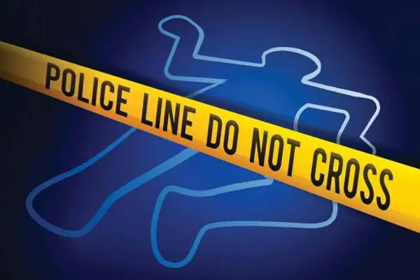 61unkVMPRbL._AC_UF894,1000_QL80_