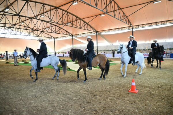 Centro ecuestre de la Hacienda Guayacán