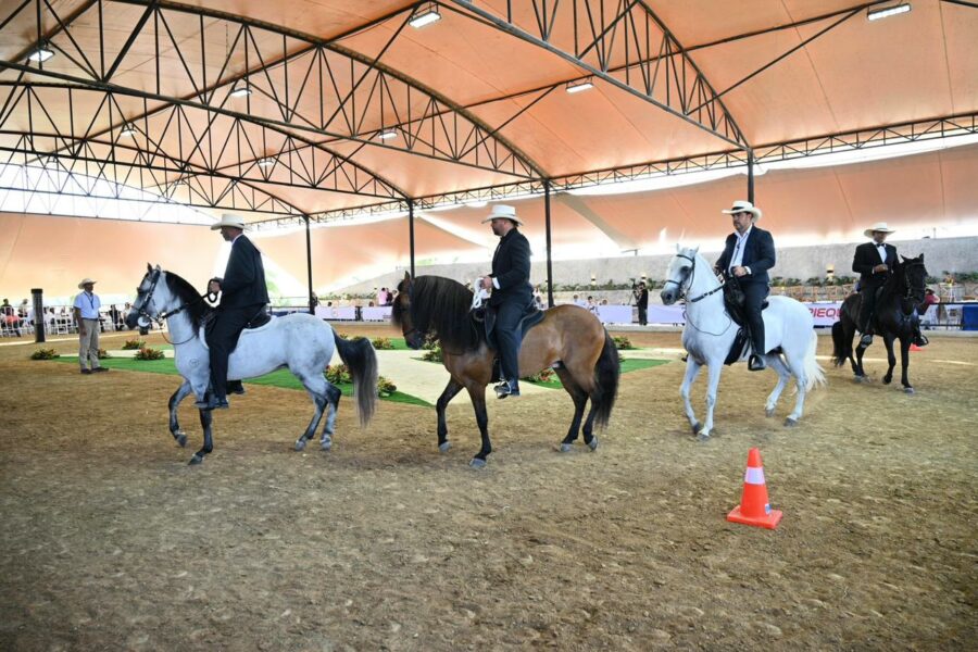 Centro ecuestre de la Hacienda Guayacán