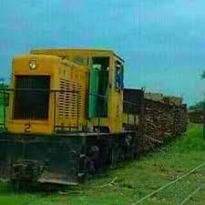 Históricamente, el traslado de la caña de azúcar desde zonas como Los Alcarrizos hacia el ingenio de Haina se realizaba a través del tren cañero operado por el Consejo Estatal del Azúcar (CEA).