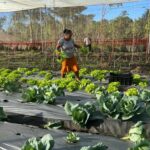 Mujeres que siembran esperanza y transforman las oportunidades del campo