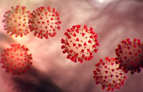 Nuevo virus en Newyork