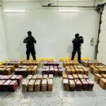 DNCD ocupa 700 paquetes de cocaína en un contenedor cargado de uvas en el Puerto Multimodal Caucedo