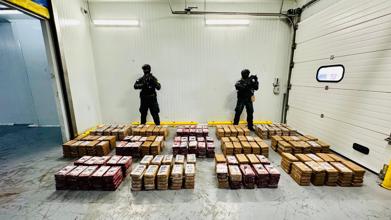 DNCD ocupa 700 paquetes de cocaína en un contenedor cargado de uvas en el Puerto Multimodal Caucedo