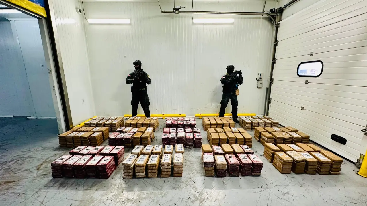 DNCD ocupa 700 paquetes de cocaína en un contenedor cargado de uvas en el Puerto Multimodal Caucedo