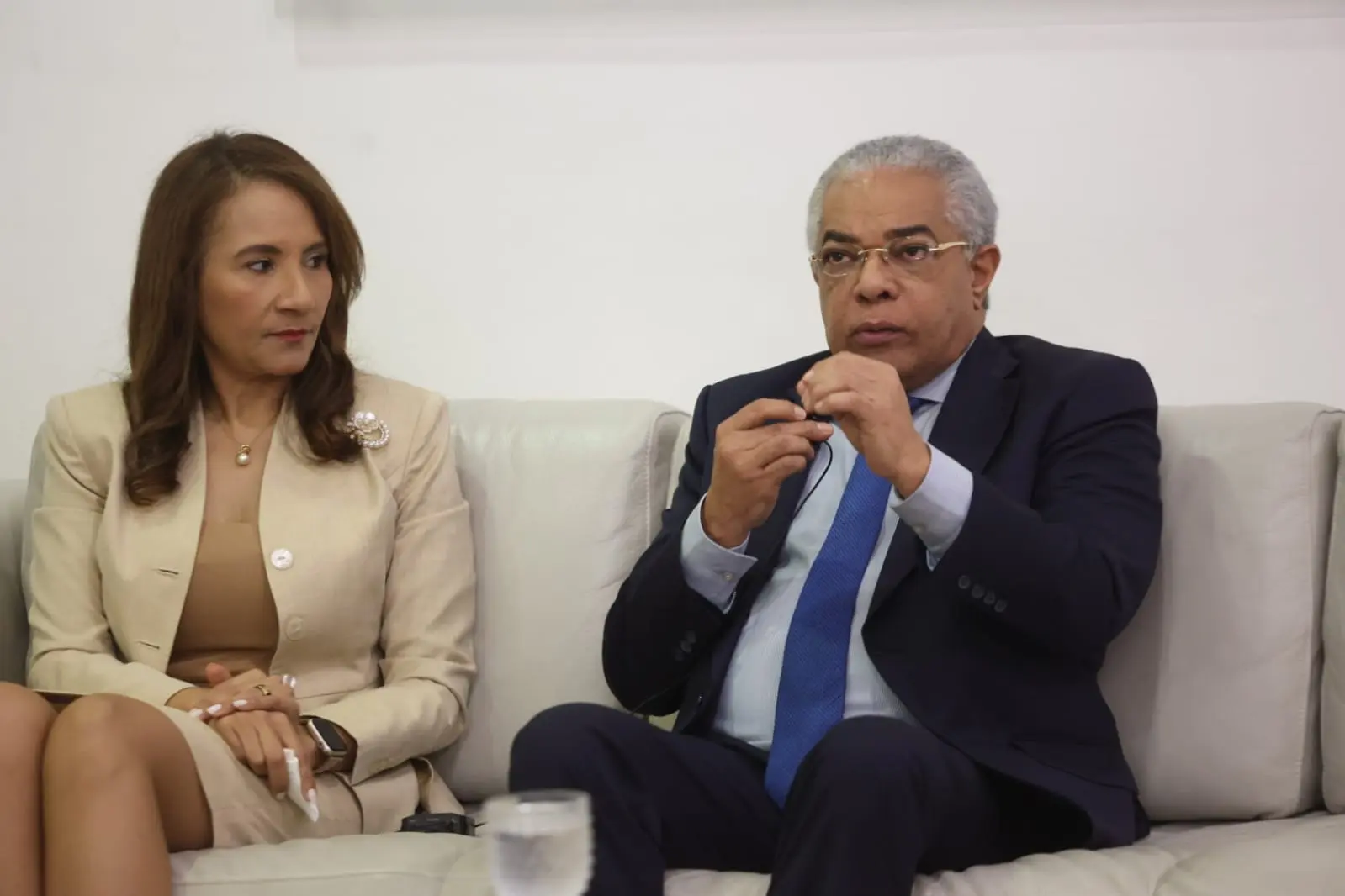 "Proyecto del Gobierno es una reforma fiscal que golpeará a la población", dice PLD