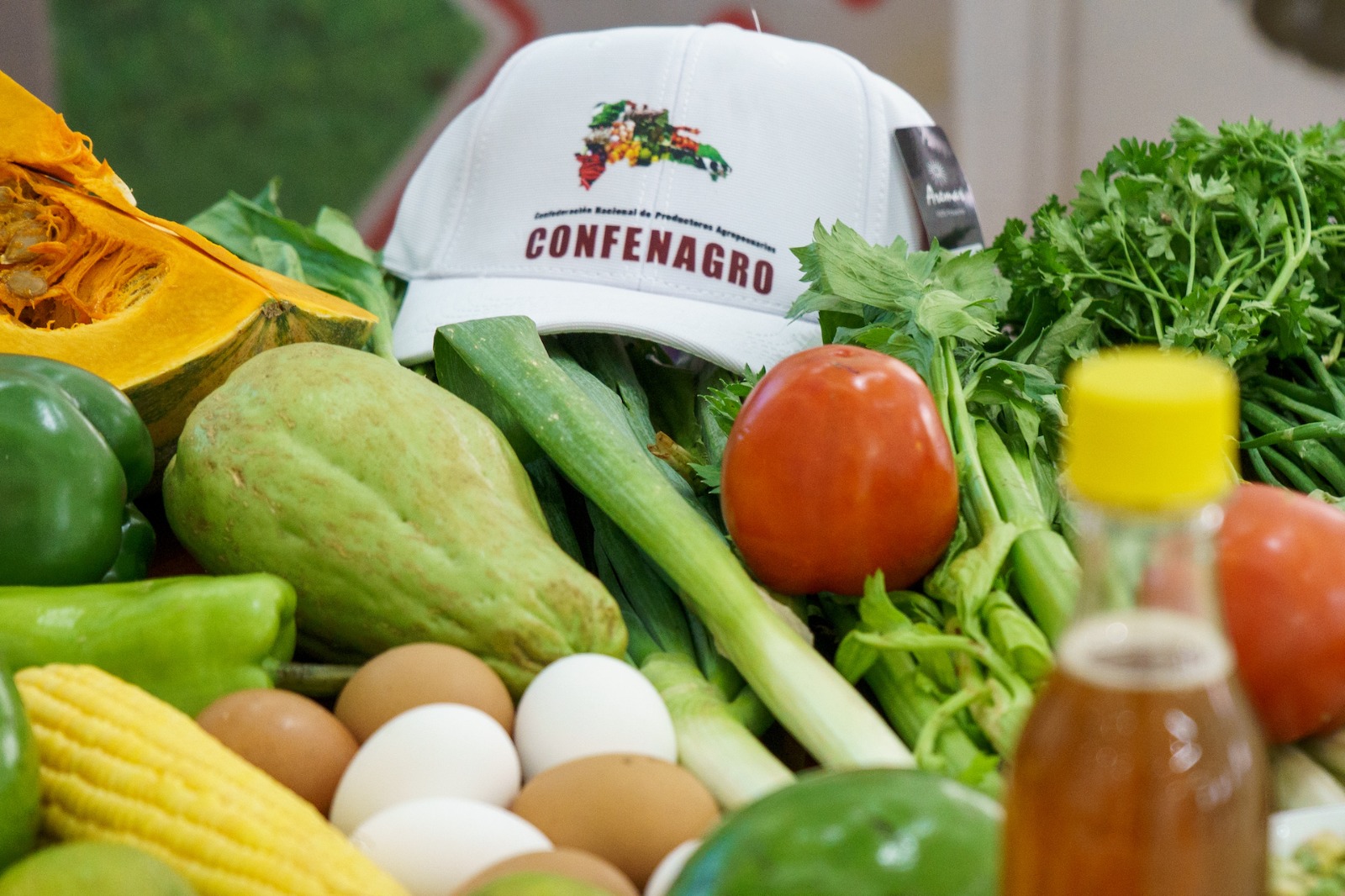 CONFENAGRO consideró positivo subsidio a fertilizantes y abogó por enfoque integral