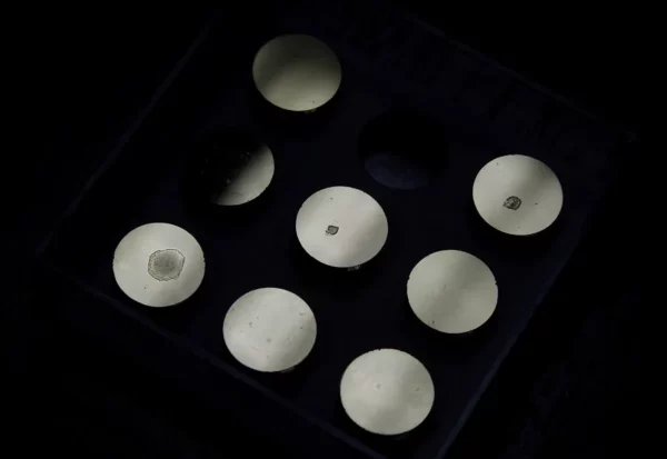 "Stubs" con muestras del esperma.