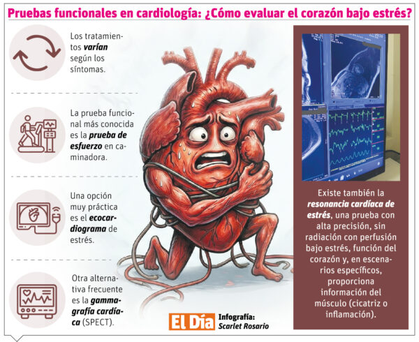 info-PRUEBAS FUNCIONALES