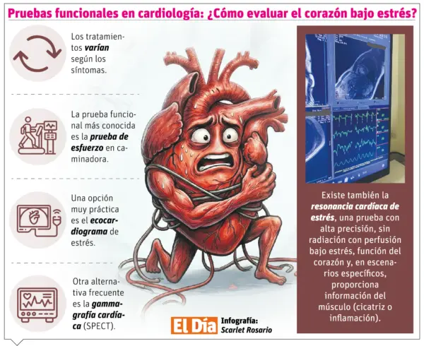 info-PRUEBAS FUNCIONALES