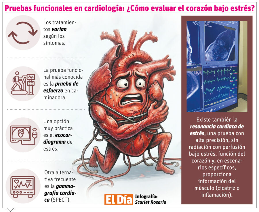 info-PRUEBAS FUNCIONALES