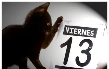 la-supersticion-del-viernes-